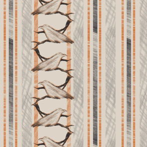 Flying Stripe