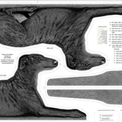 Black Brindle Greyhound fabric panel kit ©2011 by Jane Walker