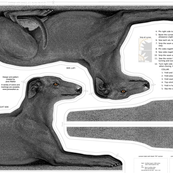 Black Greyhound Pillow Kit - male version ©2011 by Jane Walker