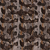 Timber Rattlesnake Print