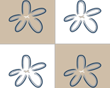 Starfish on the Beach