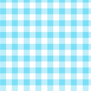 vichy blue