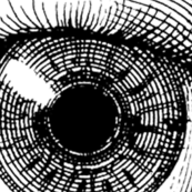 1eye