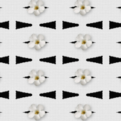 MA-4-Black-White-Arrows-Flowers