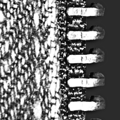 black_zipper