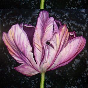 Tulip 8