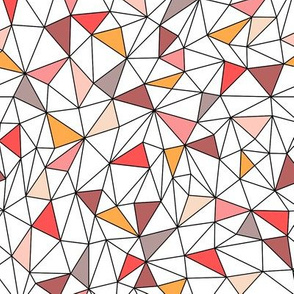 Geometric Structure
