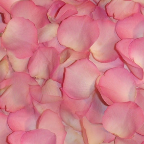 Rose's Petals ~ Large