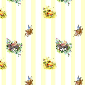 Birdies