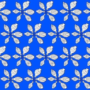 blue0055F...