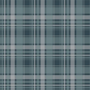 blue/ blue plaid 2014