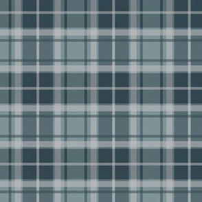 Thin Stripe blue/blue plaid