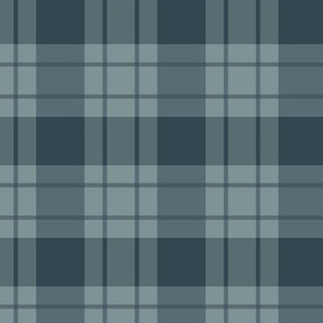 Large blue stripe/blue plaid