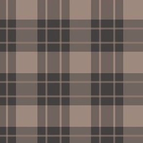 Large brown stripe/tan plaid