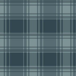 Thin Blue Stripe / Blue Plaid
