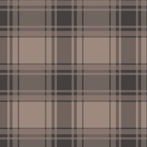 Thin Brown Stripe / Brown Plaid