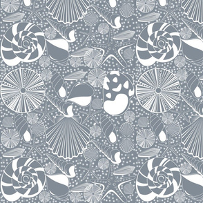 CoolGrey_Shells_nowater_150