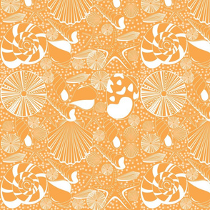 Coral_Shells_nowater_150