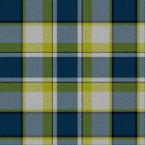 Firefly Plaid 5eclectic