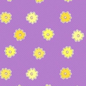 Sun Faces
