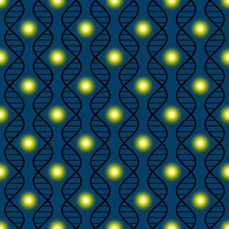 firefly DNA argyle