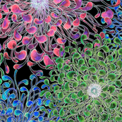 Doodle flowers black background