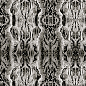 The Ancients