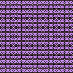 MA-17-Black-Purple-Daisies