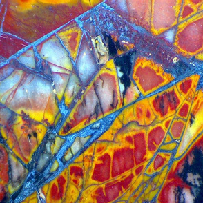 Dragonfly Wing (Cherry Creek Jasper)