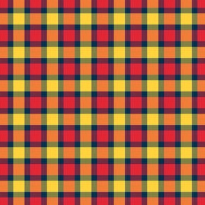 plaid_4_