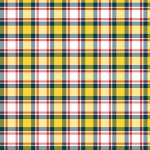 plaid_7_ Made to order 2