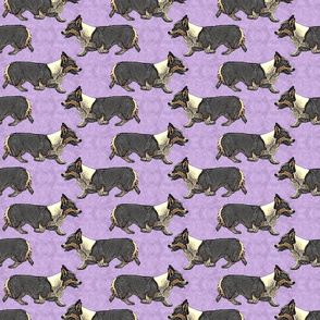 Trotting tri Pemmies - purple
