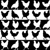Black and White Chickens