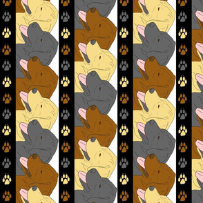Labrador faces border
