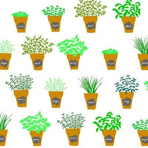 herbs