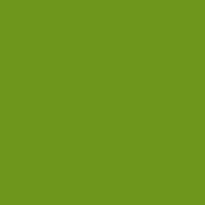 Apple A Day ~ Leaf Green Solid 