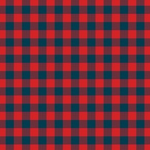 plaid_5_ even check red and blue