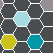 hexies grey