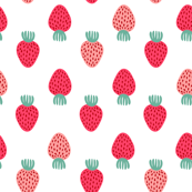 DitsynStrawberries