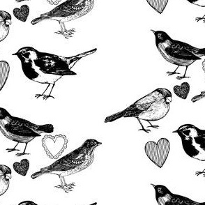 Birdee Love