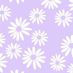 White Daisies on Lilac