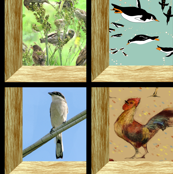 Attic Windows Aviary