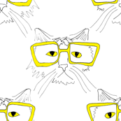 geeky cat