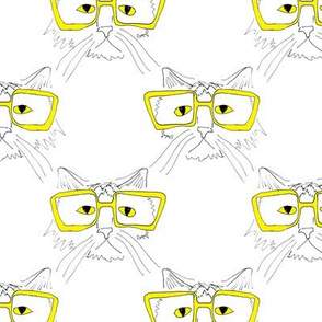 geeky cat