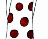 Image_thumb