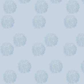 Sea Fans (Large Only)