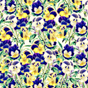 Pretty Pansies