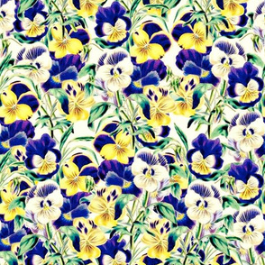 Pretty Pansies