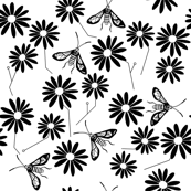 Summer Chic Daisies