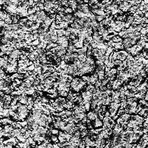 Grey Bark